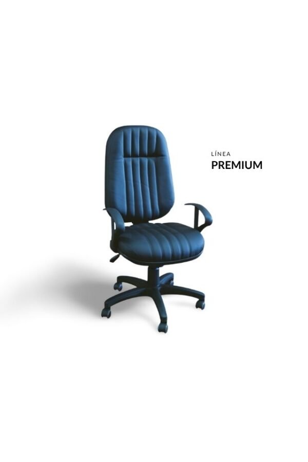 Cadeira Premium Presidente